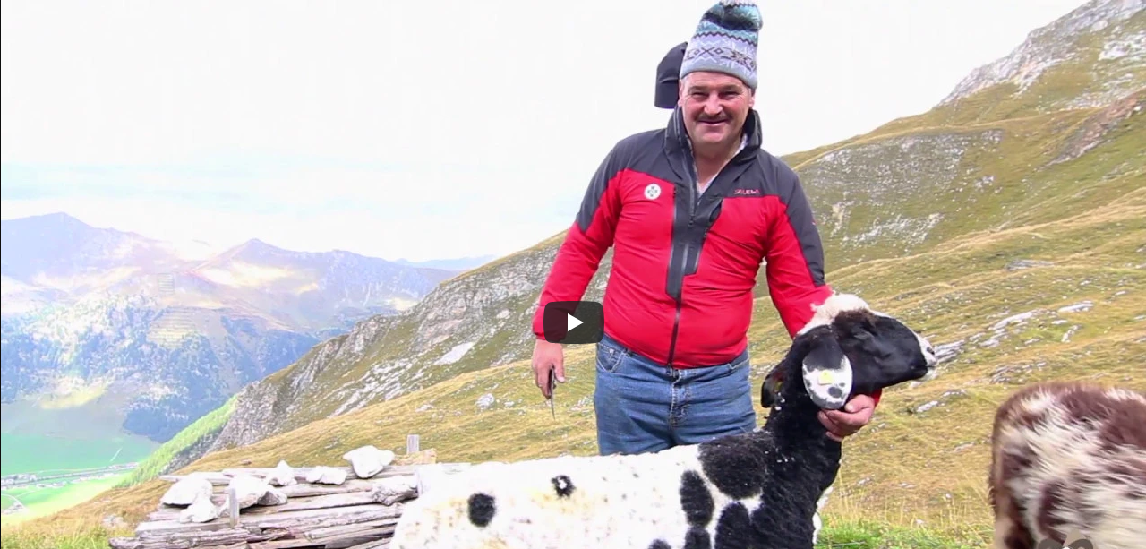 Video laden: