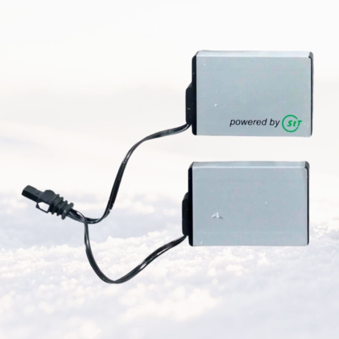 BATTERY-2600-TYPE 2