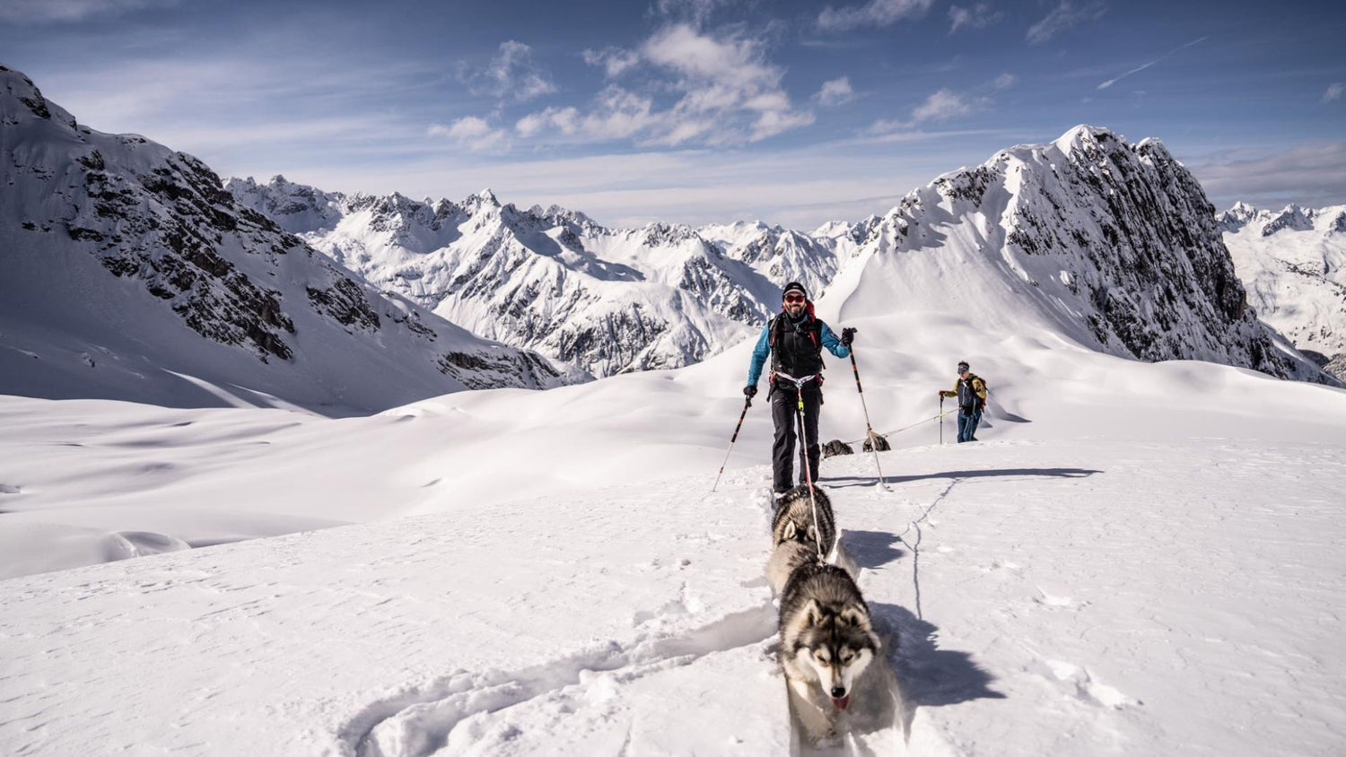 Husky Wanderungen